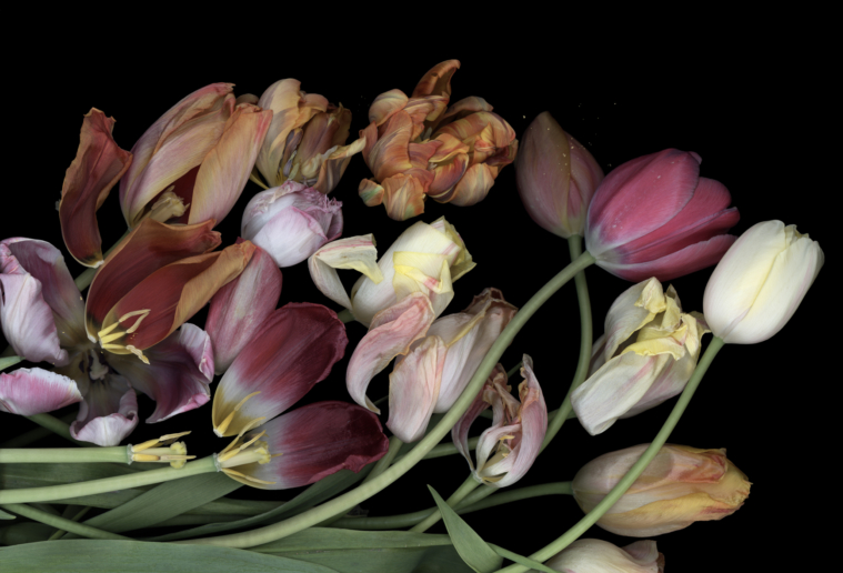 Luzia Simons, Stockage 76, 2009
Lightjet Diasec
300 x 441cm
Edition of 6 + 2 AP