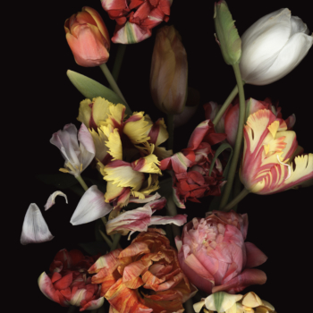 Luzia Simons, Stockage 97, 2011