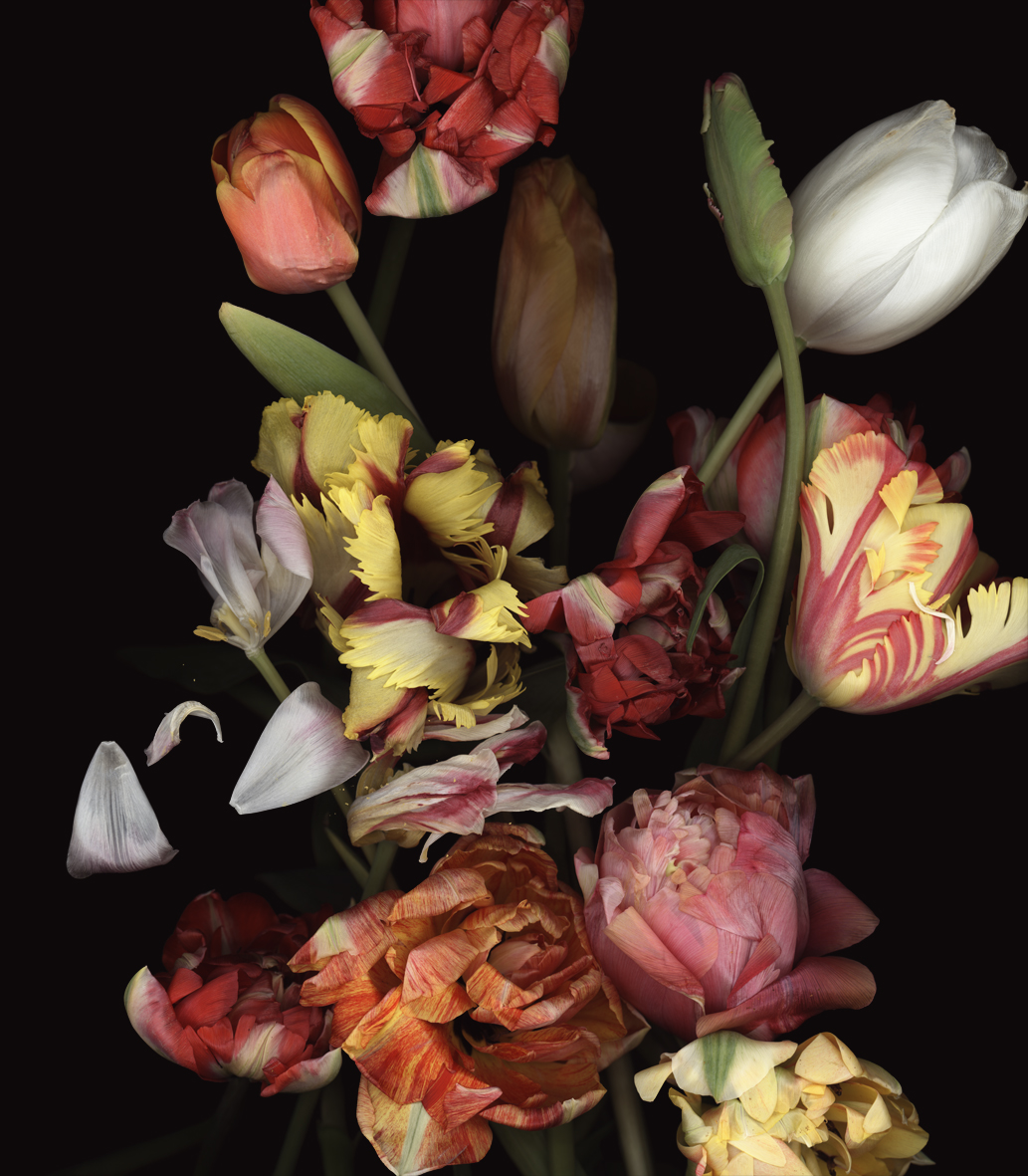 Luzia Simons, Stockage 97, 2011
Lightjet Diasec
160 x 140 cm
Edition of 6 + 2 AP