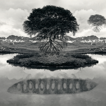 Jerry Uelsmann, Untitled, 1969