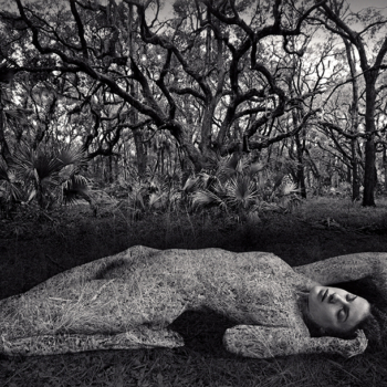 Jerry Uelsmann, Untitled, 1983