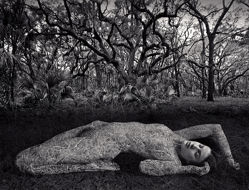Jerry Uelsmann, Untitled, 1983
Gelatin silver print
40,6 x 50,8 cm 
Signed and dated by photographer recto