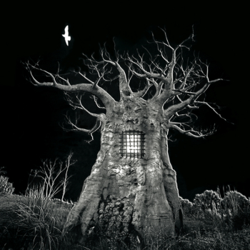 Jerry Uelsmann, Untitled, 2003