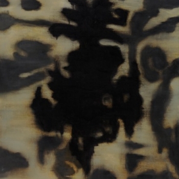 Uwe Wittwer, Interieur negative, 1997