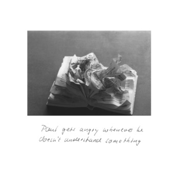 Christian Vogt, Paul gets angry, 1981 – ongoing