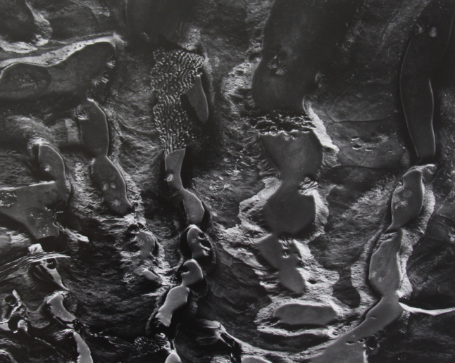 Wynn Bullock, Point Lobos Tide Pools, 1972
Vintage gelatin silver print
24 x 18,2 cm