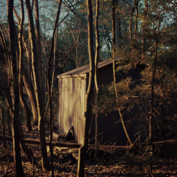 Sonja Braas, Hut, 2016