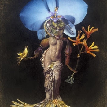 Deborah Kelly, Birth of Beeness, 2017