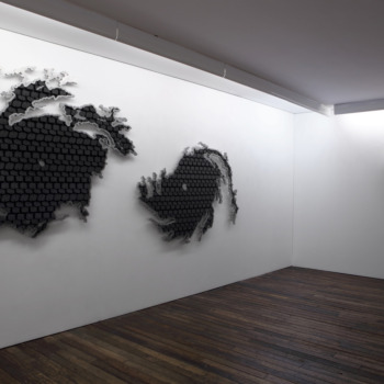 Installation view, Carlo Borer, Random Perception