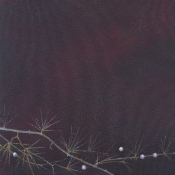 Angela Lyn, family garden ll, 2016