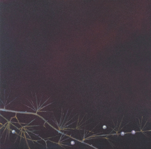 Angela Lyn, family garden ll, 2016
From the series floating gardens
Oil on canvas
32,5 x 32,5 cm 