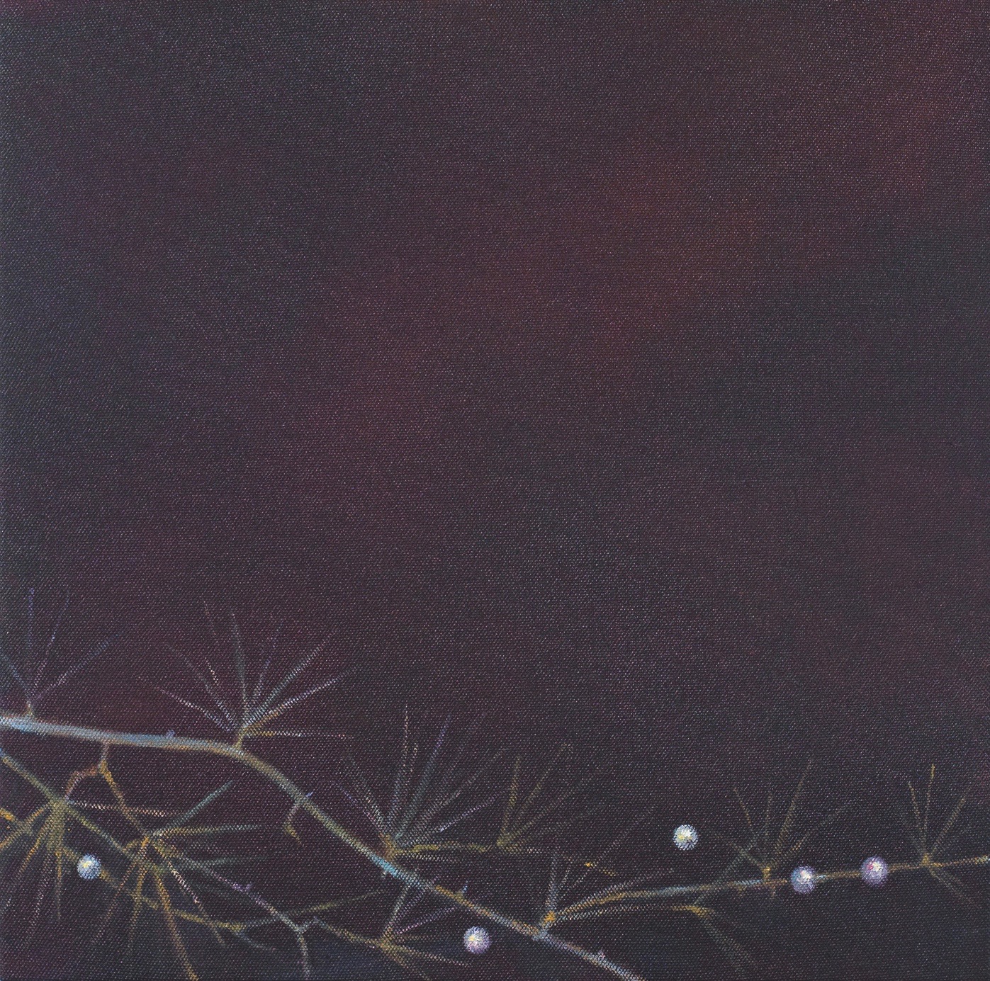 Angela Lyn, family garden ll, 2016
From the series floating gardens
Oil on canvas
32,5 x 32,5 cm 