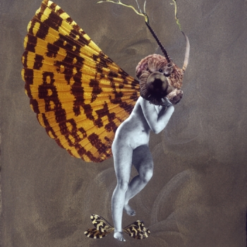 Deborah Kelly, Mothla, 2016-2017
