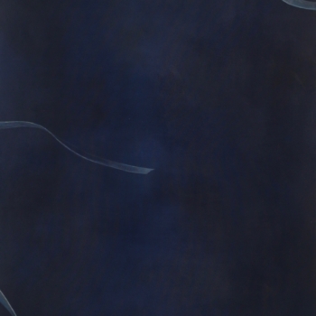 Angela Lyn, her trails of empathy, 2017