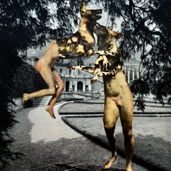 Deborah Kelly, Casa e Giardino, 2018