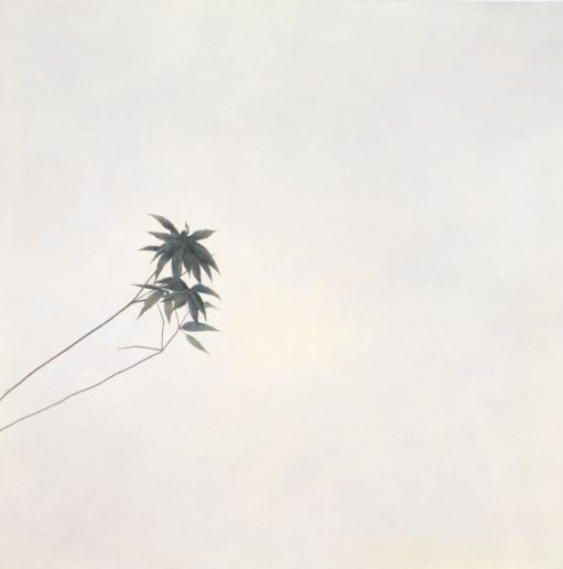 Angela Lyn, pilgrim, 2016
From the series floating gardens
Oil on Canvas
130 x 130 cm