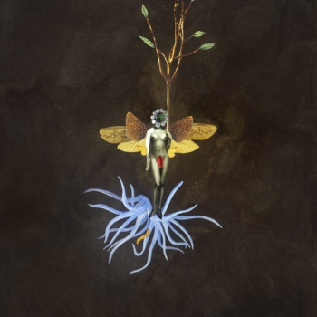 Deborah Kelly, The Sower, 2016-2017
