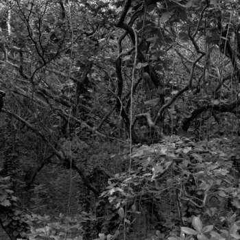 Christian Vogt, Naturräume I, 2008