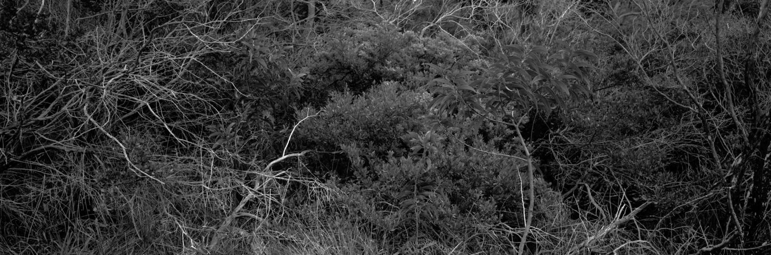 Christian Vogt, Naturräume II, 2008
Pigmented ink on rag paper
110 x 290 cm
Edition of 3