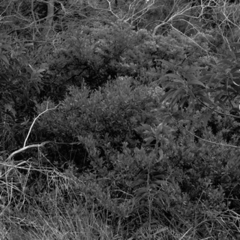 Christian Vogt, Naturräume II, 2008