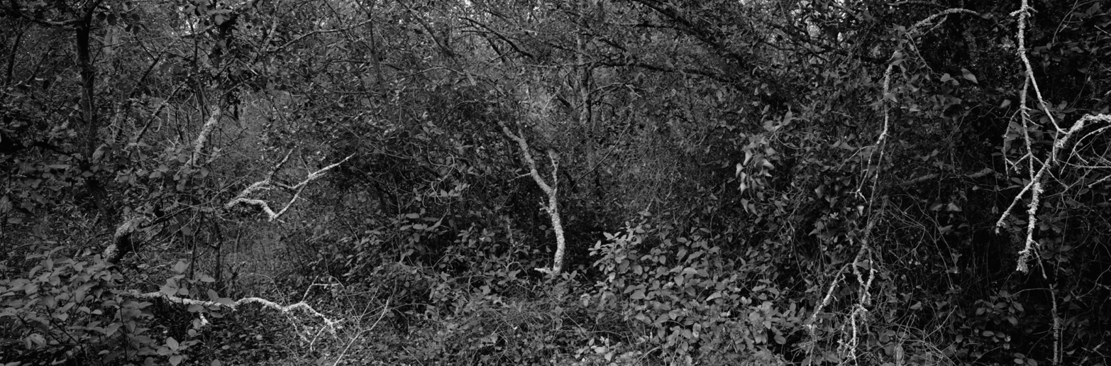Christian Vogt, Naturräume III, 2008
Pigmented ink on rag paper
110 x 290 cm
Edition of 3