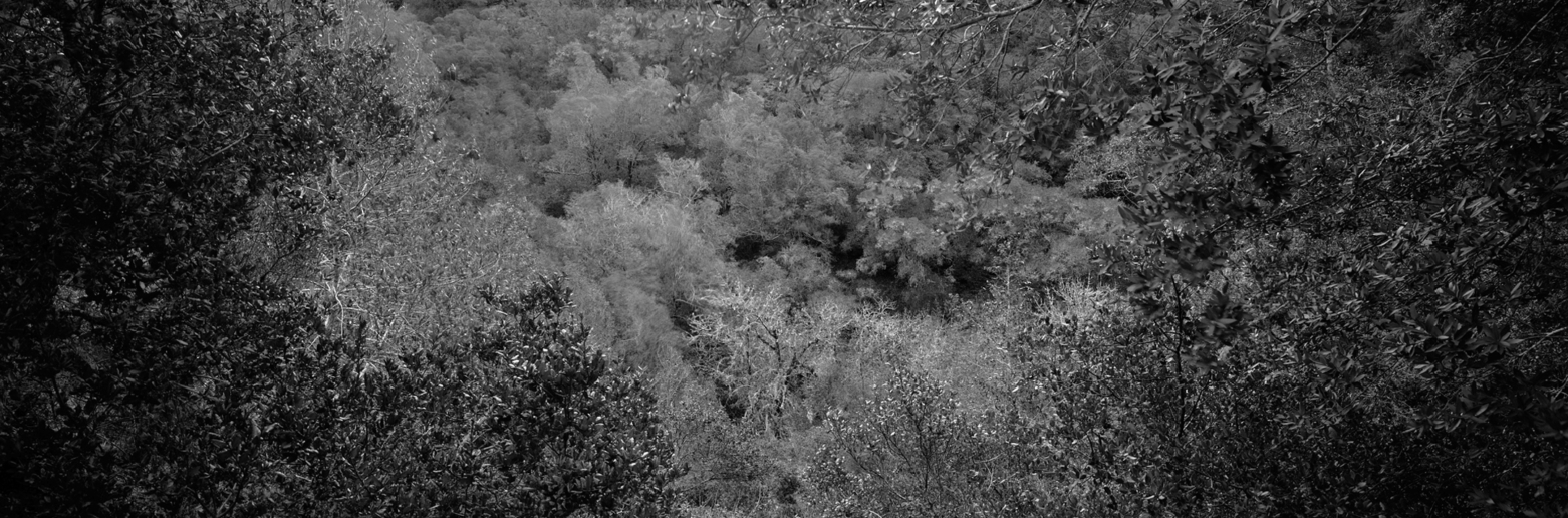 Christian Vogt, Naturräume IV, 2008
Pigmented ink on rag paper
110 x 290 cm
Edition of 3