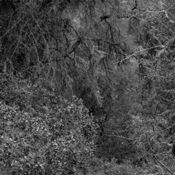 Christian Vogt, Naturräume IX, 2008