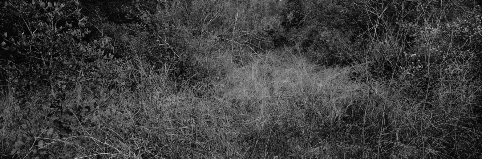 Christian Vogt, Naturräume V, 2008
Pigmented ink on rag paper
110 x 290 cm
Edition of 3