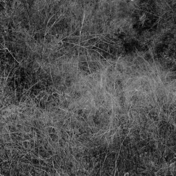 Christian Vogt, Naturräume V, 2008