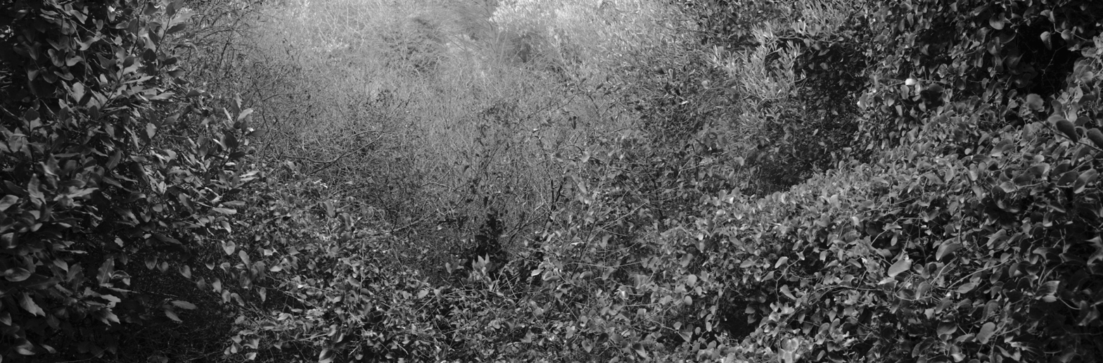 Christian Vogt, Naturräume VI, 2008
Pigmented ink on rag paper
110 x 290 cm
Edition of 3