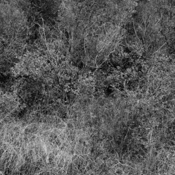 Christian Vogt, Naturräume XI, 2008
